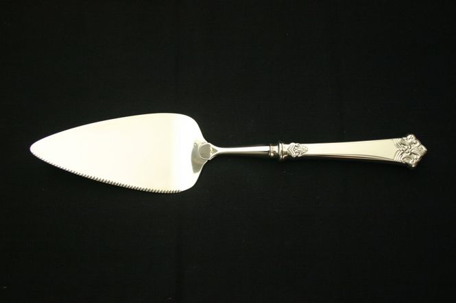 Hovedbilde Anitra paispade