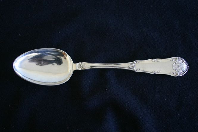 Hovedbilde Iris stor spiseskje