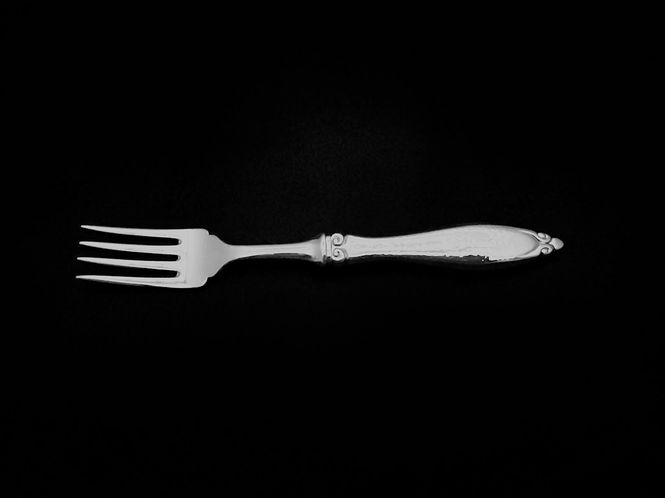 Hovedbilde Hamret fiskegaffel